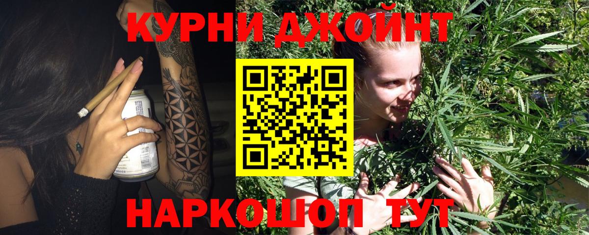 Конопля семена Саратов